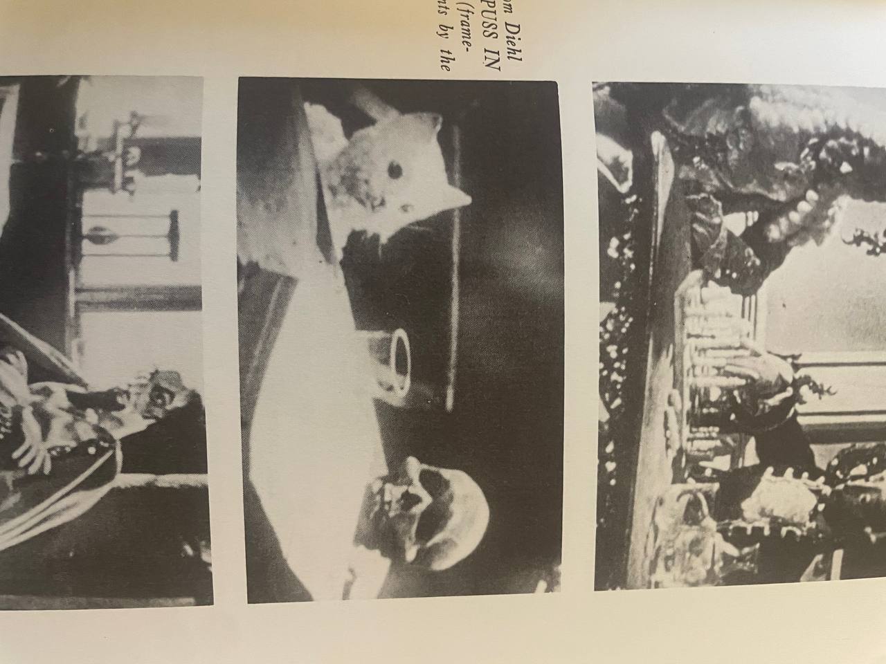 photo_2023-11-23 11.35.03.jpeg